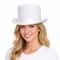 Adult Felt Costume Top Hat